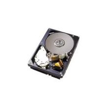 SEAGATE 9W2005 40GB IDE 3.5" 7200RP